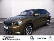 Skoda Kodiaq, 2.0 TDI Selection, Jahr 2024 - Neubrandenburg