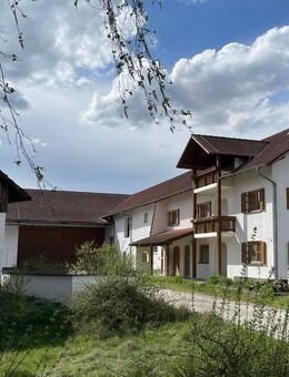 fantastische Hofstelle vor den Toren Landau's - Pferdeliebhaber und naturverbundene Menschen aufgepasst! - Landau (Isar)