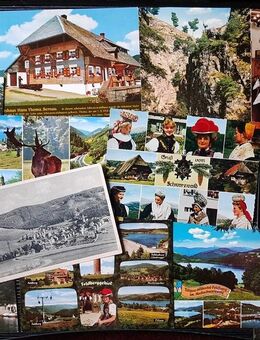 Der Schwarzwald – Konvolut von 14 alten Postkarten aus verschiedenen Zeiten - Niederfischbach
