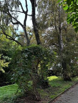 Vermietete Eigentumswohnung in Leipzig mit grünem Ausblick !! - Leipzig