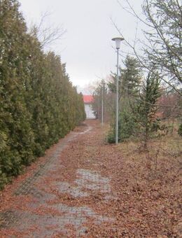 Ein Haus bei dem weniger wirklich mehr ist - Fläche optimal nutzen in Stotternheim - Erfurt
