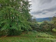 Landwirtschaftsfläche - Winterbach (Baden-Württemberg)