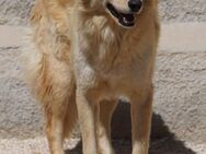 Margo - Bad Vilbel