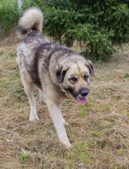 NIKAN - eure Nähe jeden Tag genießen - Overath