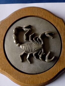 Wandteller Skorpion Vintage - Duisburg