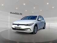 VW Golf, 2.0 TDI VIII Life, Jahr 2020 - Wolfhagen