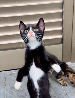 Dune - kennt kein Stillsitzen - Kirchheim (München)