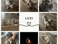 LUZI PP Süßes Mini Mädchen sucht Liebe - Neustadt (Rübenberge)