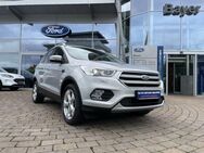 Ford Kuga, 1.5 EcoBoost 2x4 Titanium, Jahr 2017 - Alzey