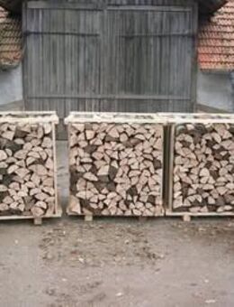 🌲 Fichte – 🌳 Esche – 🍂 Buche 🍂 Buche: 175 € 🌳 Esche: 130 € 🌲 Fichte: 85 € - Geltendorf