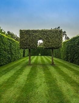 Gartenarbeiten, Heckenschnitt - Rees