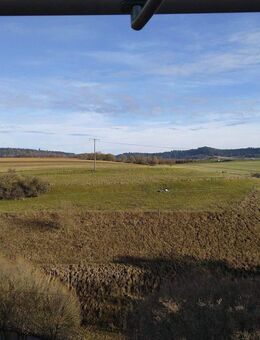 Idyllisches Häusle & gute Aussicht. Reduzierter Preis oder zusätzlicher Neubau möglich. s. Sonstiges - Epfendorf