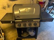 Gas Grill - Munster