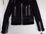 Zara Piloten Lederjacke Wildleder Gr. 34 schwarz - Herrenberg