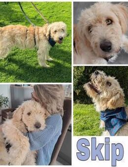 SKIP * mag mit Wohnmobil in die Natur <3 - Duisburg