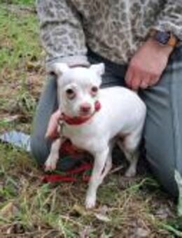 439214 - Arme zum Kuscheln - Overath