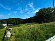 Unverbaubarer Blick ins Grüne! Traumgrundstück in Wenzenbach - Wenzenbach