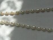 Herz-Perlen Collier-Halskette - Fintel