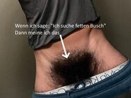 Köln-Daddy-Bi-Schwuppe sucht haarige Top-Heteros - Köln