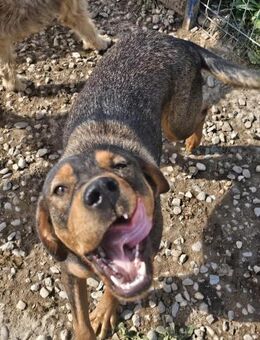 💔 Jette die letzte Schwester von 3en - Mannheim