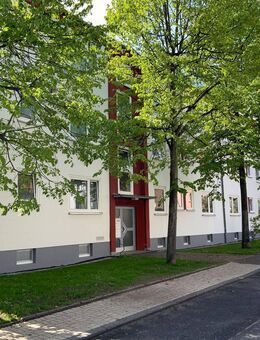 Schöne 3-Zimmer Wohnung mit neuem Bodenbelag zu vermieten! - Fulda