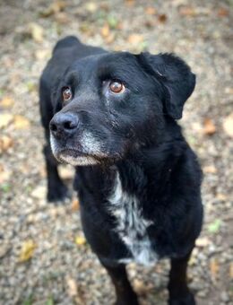 Elias, bewegungsfreudiger Begleiter, 12J - Vaterstetten