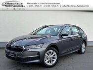 Skoda Octavia, 1.5 TSI IV Combi mHEV Selection, Jahr 2022 - Castrop-Rauxel