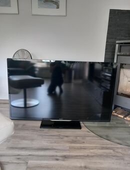 Philips Fernseher - Nordhorn
