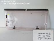 TEC Wohnwagenfenster Roxite 80 D401 ca 75 x 37 gebr. zbTT2 ORIGINAL Sonderpreis - Schotten Zentrum
