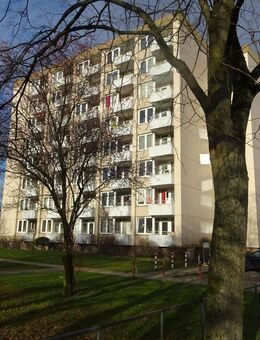 1-Zimmer-Apartment mit EInbauküche - Celle