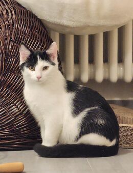 2 süße EKH - Torgau