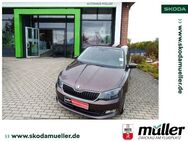 Skoda Fabia Edition 1.2TSI 81kW SHZ PDC GRA DAB - Zwickau