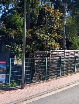 Neubau: Energiespar- Doppelhaushälfte mit Garten in bester Lage von Usingen !!! - Usingen