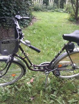 Pegasus Damenfahrrad Neuwertig - Malente