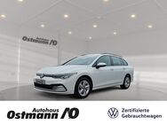 VW Golf Variant, 2.0 TDI Golf VIII Life, Jahr 2021 - Bad Arolsen