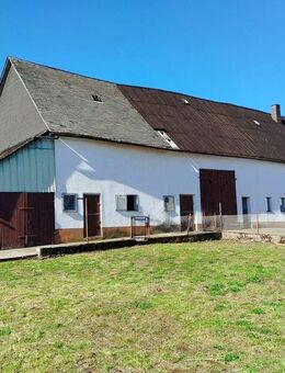 Perfekt für Pferdeliebhaber: Familienhaus mit Stall & Scheune auf großzügigem Grundstück - Breitscheid (Hessen)