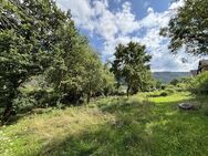 Baugrundstück in idyllischer Ortslage - Traben-Trarbach