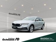Skoda Octavia, Combi First Edition 110kw TDI, Jahr 2020 - Niestetal