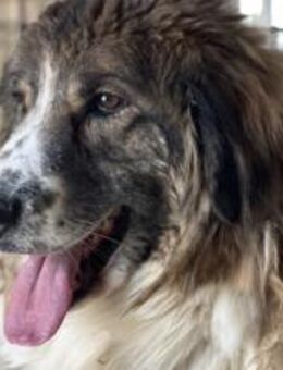 Captain Kirk sucht sein Schiff... - München