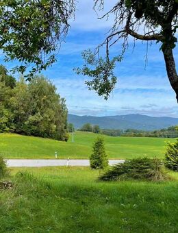 *** Mit Weitblick: Autarkes Bauernhaus in Alleinlage nahe Breitenberg und Skigebiet Hochficht! *** - Breitenberg (Bayern)