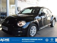 VW Beetle, 1.2 TSI, Jahr 2014 - Blomberg (Nordrhein-Westfalen)