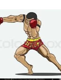 Trainingspartner für Boxen-Thaiboxen - Hannover Ahlem-Badenstedt-Davemstedt