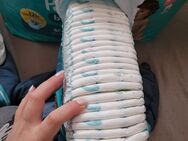 Pampers pants Größe 4 Pampers in Größe 4 und 5 - Nordhausen Zentrum