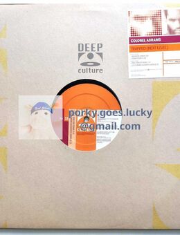 Colonel Abrams – Trapped (Next Level) 12" Vinyl 2002 House - München Bogenhausen