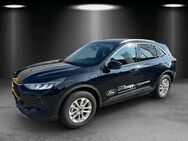 Ford Kuga, 2.5 l Titanium digitales S, Jahr 2024 - Frankenthal (Pfalz)