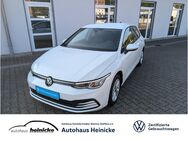 VW Golf, 2.0 TDI VIII LIFE APP, Jahr 2020 - Oebisfelde-Weferlingen Siestedt