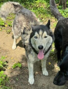 Zauberhafte Moon❤️ - Sindelfingen