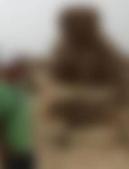 Hel*** - Lauingen (Donau)