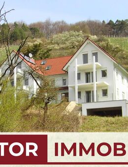 Doppelhaushälfte mit Einliegerwohnung u. Doppelgarage - Ramsthal