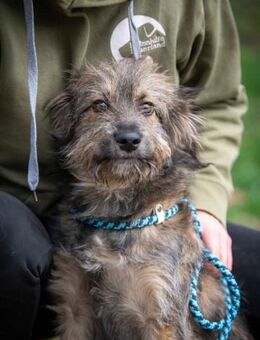 Macchiato - Marsberg